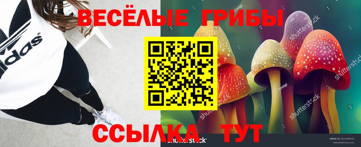 Галлюциногенные грибы GOLDEN TEACHER Нижневартовск